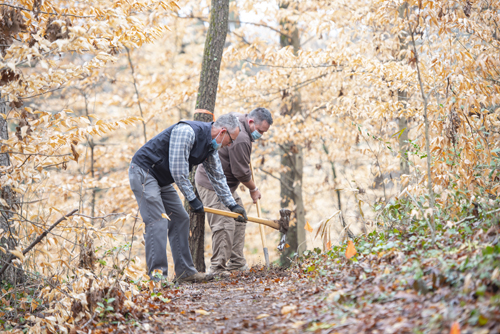 Urban Parks and Land Management